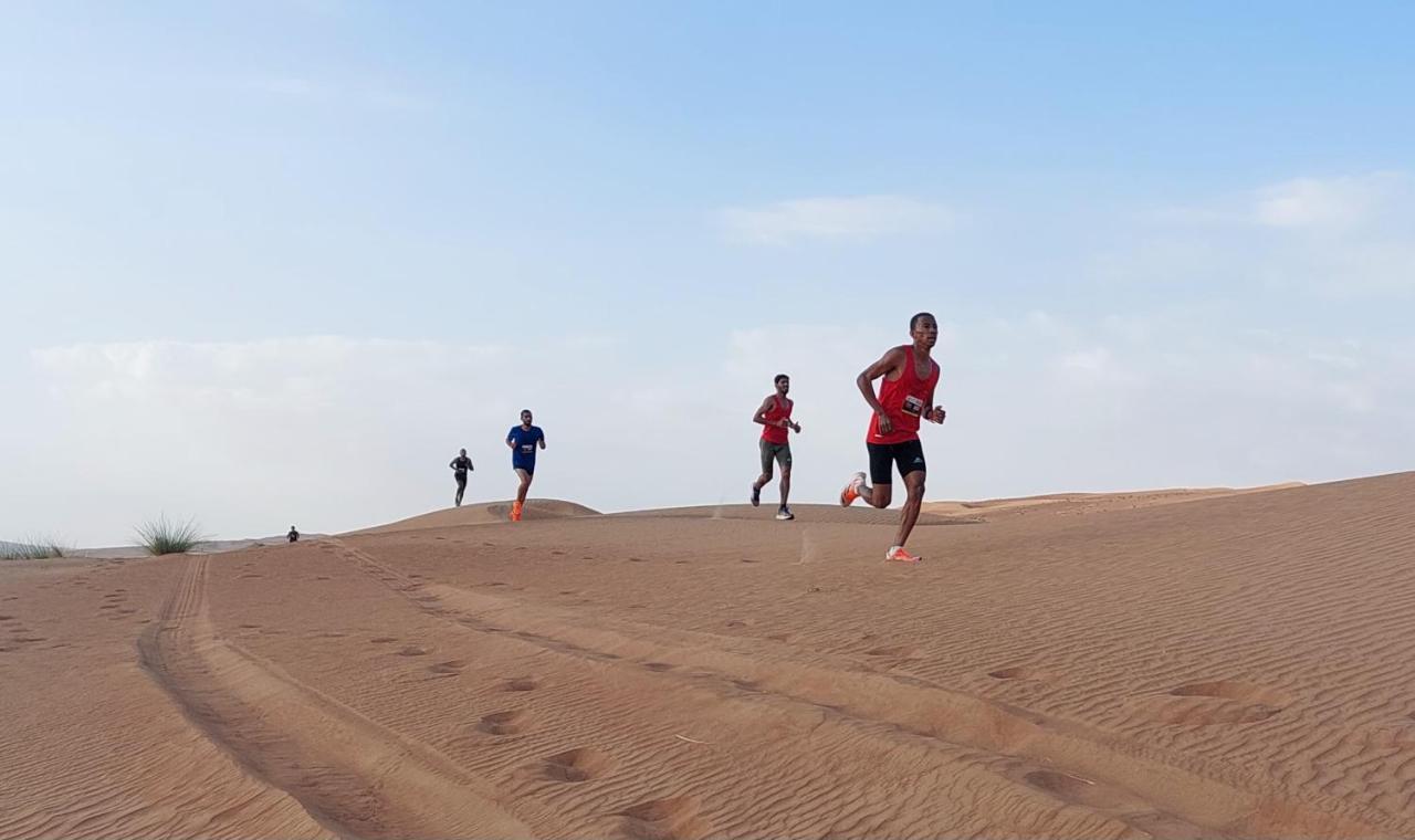 Delight Desert Camp Al Wāşil Zewnętrze zdjęcie
